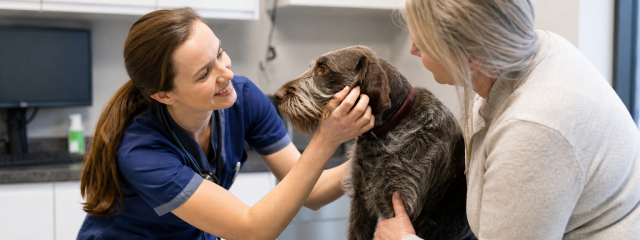 How Preventative Healthcare Saves Money